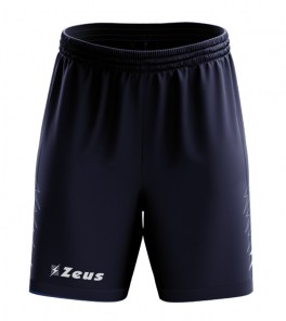 Волейбольные шорты мужские Zeus BERMUDA ENEA Синий/Темно-серый